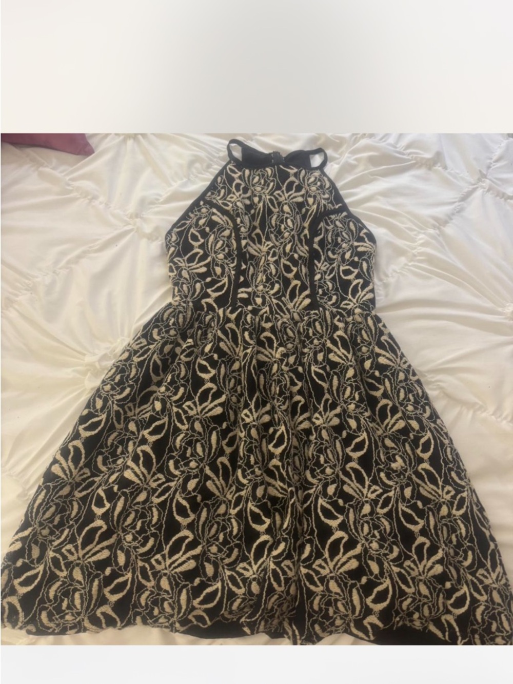 love...ady Black and Cream Lace Halter Fit-and-Flare Dress
